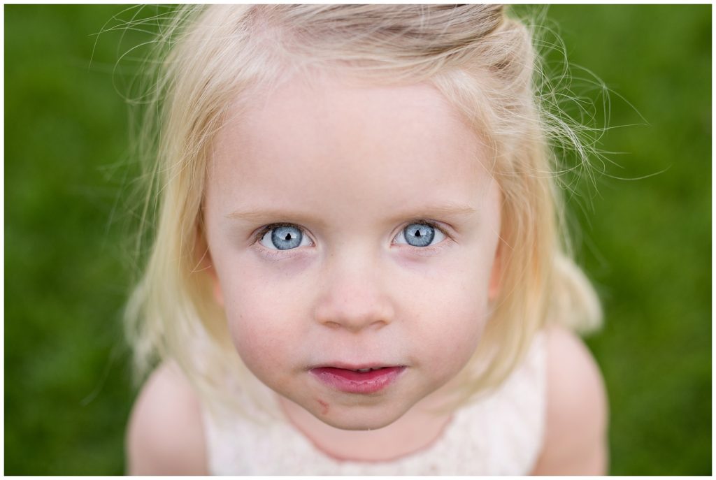 Lyndale Park Rose Gardens by Karen Feder Photography
