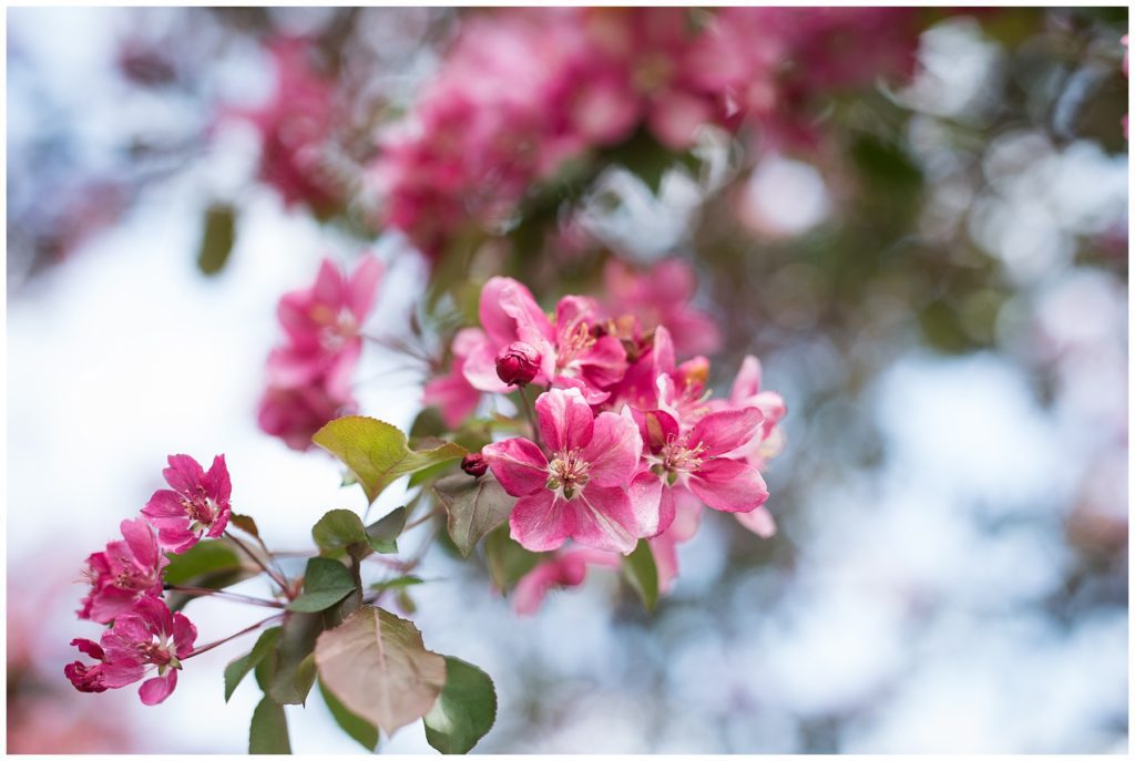 Lyndale park family session by Karen Feder Photography www.karenfederphotography.com