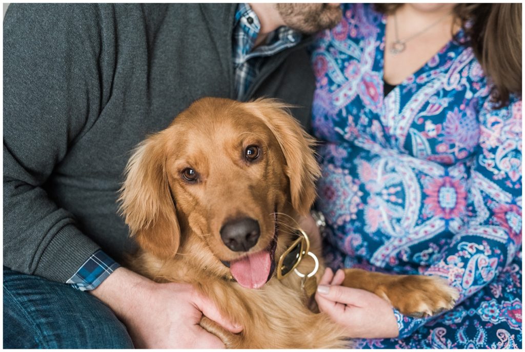 Roseville Maternity Session by Karen Feder Photography